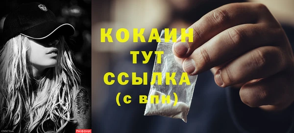прущие грибы Горно-Алтайск