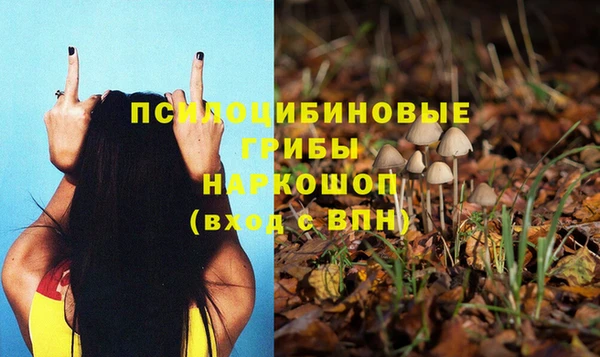 наркотики Горнозаводск