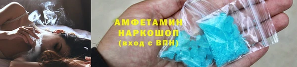 прущие грибы Горно-Алтайск