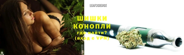 прущие грибы Горно-Алтайск