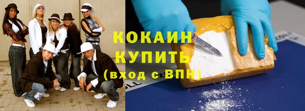 прущие грибы Горно-Алтайск