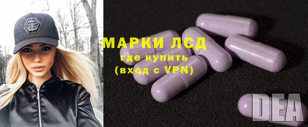 прущие грибы Горно-Алтайск