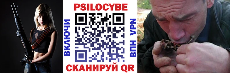Купить закладки  Любим  Псилоцибиновые грибы ЛСД 