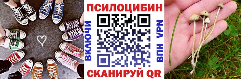 Псилоцибиновые грибы GOLDEN TEACHER Любим